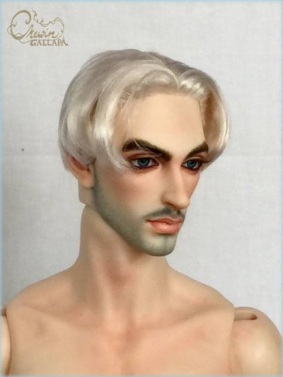 Wig for male